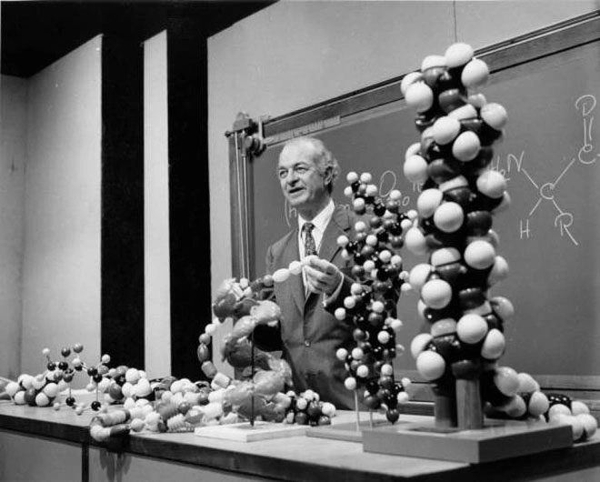 Linus Pauling presenting alongside molecular models in 1960.