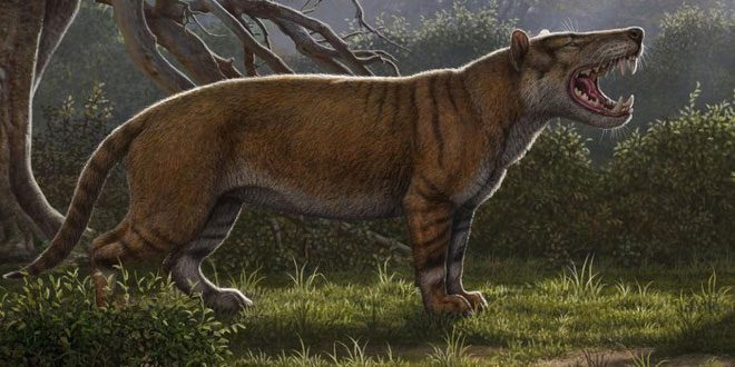 Simbakubwa kutokaafrika 3