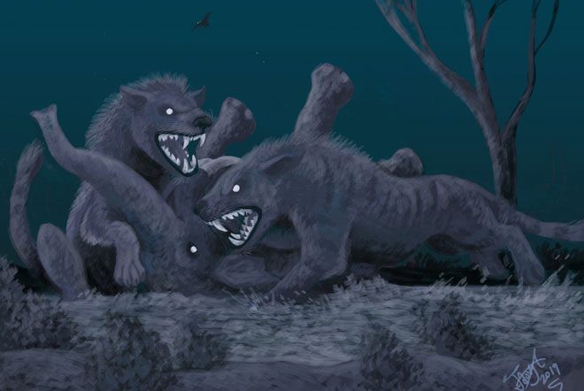 Large canine and molar teeth allowed them to easily tear flesh and crush the bones of other large animals.
