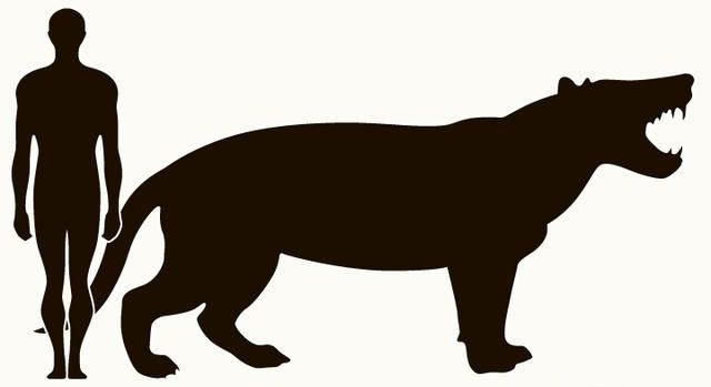 Prehistoric mammal identified by scientists as Simbakubwa kutokaafrika