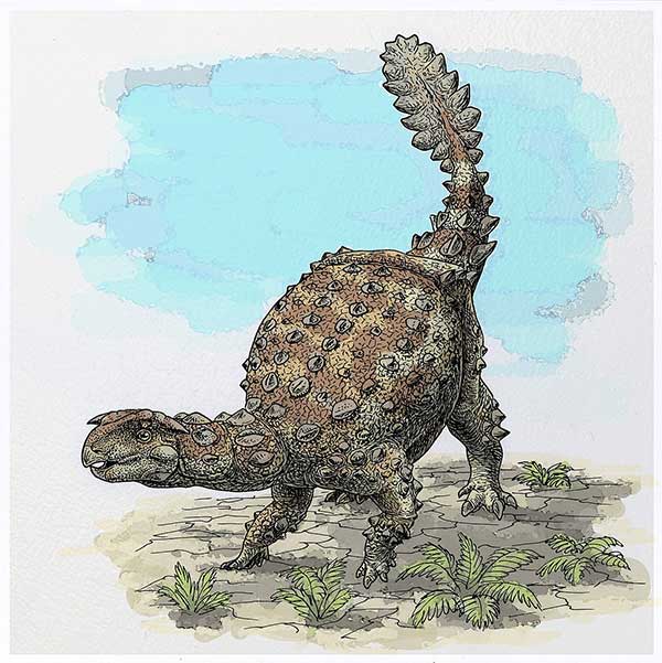 An artist's depiction of Stegouros elengassen.