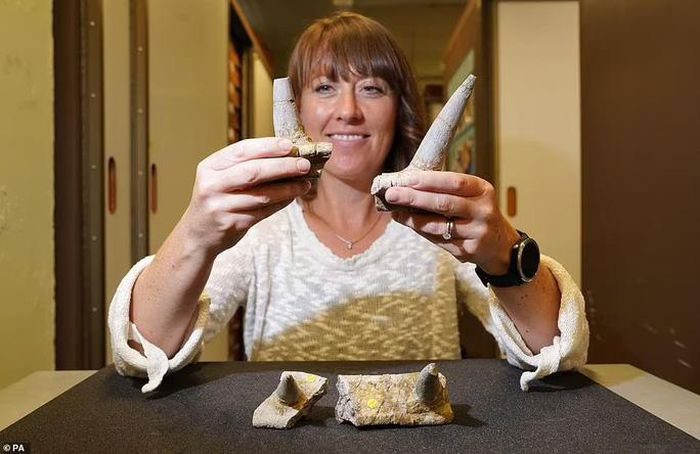 Dr. Susannah Maidment next to the fossil of the four horned armored creature
