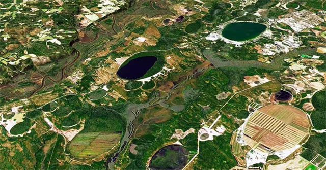 Image captured from NASA's Earth Observatory, showing some Carolina Bays near Bladen Lakes State Forest in North Carolina.
