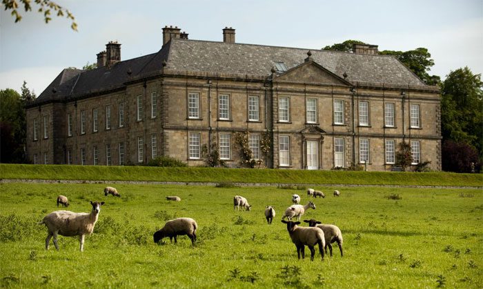 The National Trust plans to plant 75,000 trees across the estate in the coming months.
