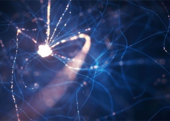 a nerve storm in the brain of humans with the ability to solve complex problems 115747