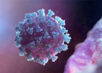 a variant of ncov has the potential to evade pfizer astrazeneca vaccine 116849