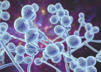 after coronavirus disease may be the new fear of humans 117417