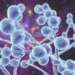 after coronavirus disease may be the new fear of humans 117417