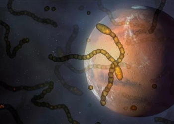 alien life warning spacecraft crash landing on earth 117372