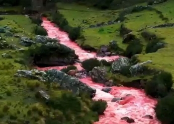 amazing river with pink water in peru 116921