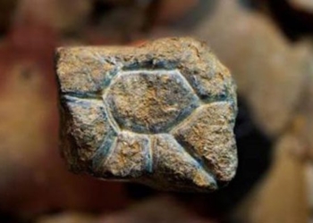 artifact 20000 years reveals asians ky bang ha with species 116361
