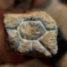 artifact 20000 years reveals asians ky bang ha with species 116361