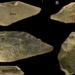 astonishing treasure over time from the species that mastered monsters 115723