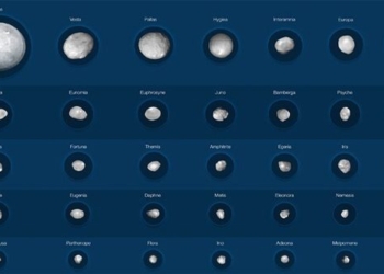 attendance 42 largest planets in our solar system 116579