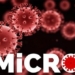 australia detects first case of omicron 117589