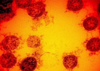 australia develops first mrna vaccine 117422