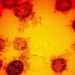 australia develops first mrna vaccine 117422
