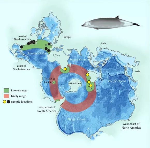 Distribution map of the new species