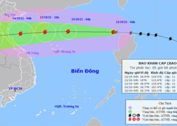 bao kompasu enters the east sea becomes storm number 8 heavy rain wide area 116453