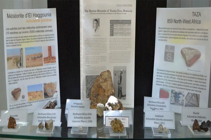 Specimens at the Rock Museum in Agadir
