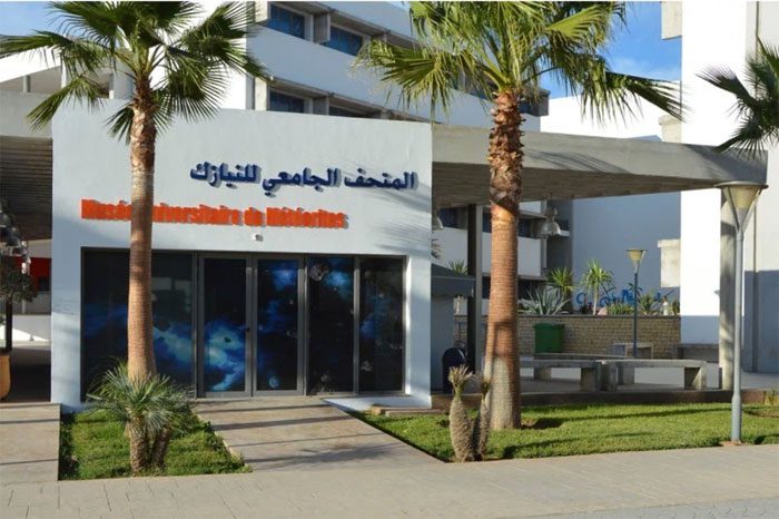The Rock Museum in Agadir houses specimens dating back to the Sun.