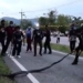 beaten by a snake lizard has no power to resist snake 117773