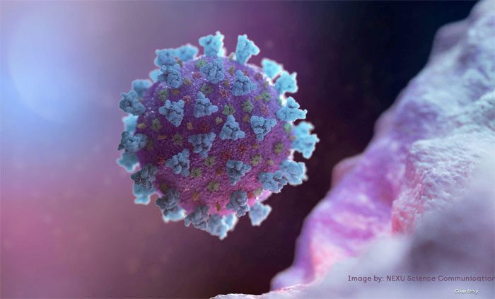 A.30 has several protein mutations that can resist Pfizer and AstraZeneca vaccines.