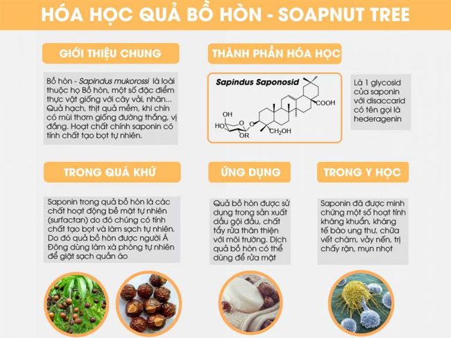 Chemical Composition of Soapberry