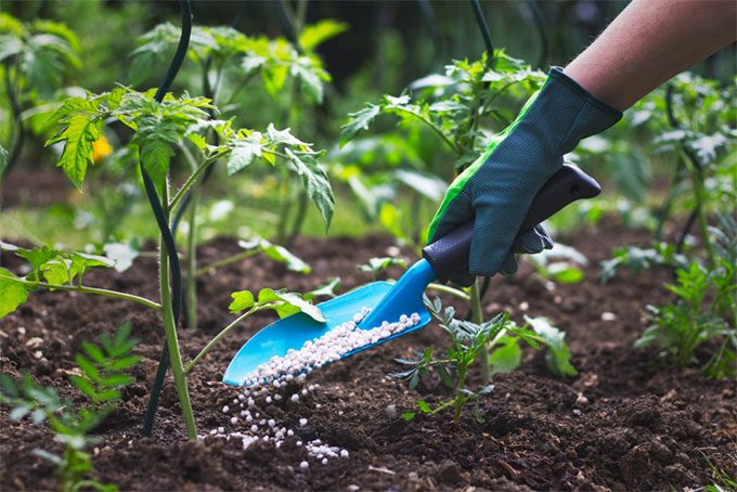 This new technique is three times cheaper and more environmentally friendly.