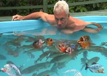 brave man jumps into water filled with piranhas and unexpected ending 117254