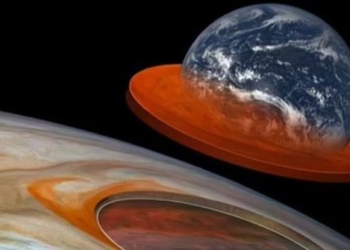 bright forest could swallow the earth right in the sun 116861