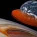 bright forest could swallow the earth right in the sun 116861