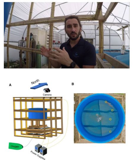 Bryan Keller in his experimental cage with the sharks.