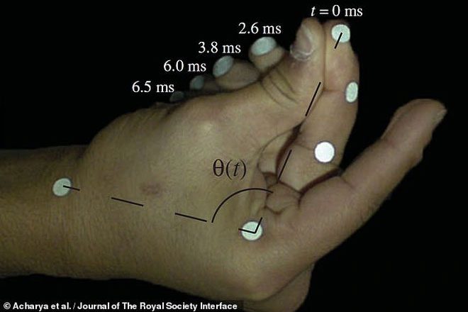 The snap could be the fastest acceleration movement of a human.