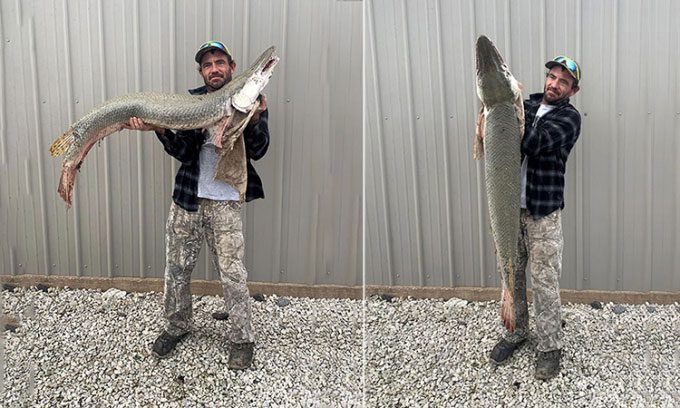 Angler Danny Smith catches a large North American alligator gar on the Neosho River.