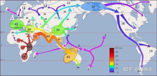 Diagram of Homo sapiens conquering the world.