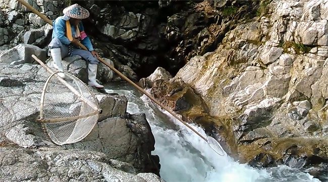 cach bat ca nhu phim kiem hiep