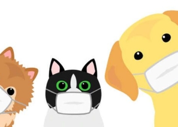 cats can transmit covid 19 to humans 116437