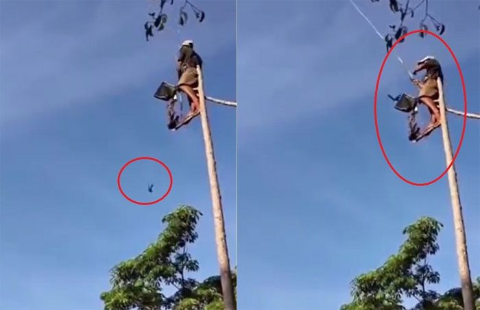 In just 2 minutes, he manages to catch two birds.