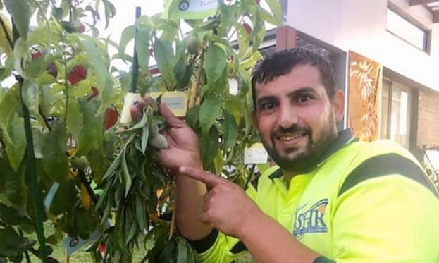 Saraf with his special tree.
