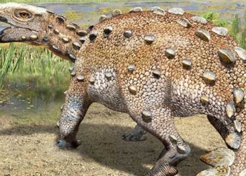 chile discovers new steel encased dinosaur with strange tail 117495