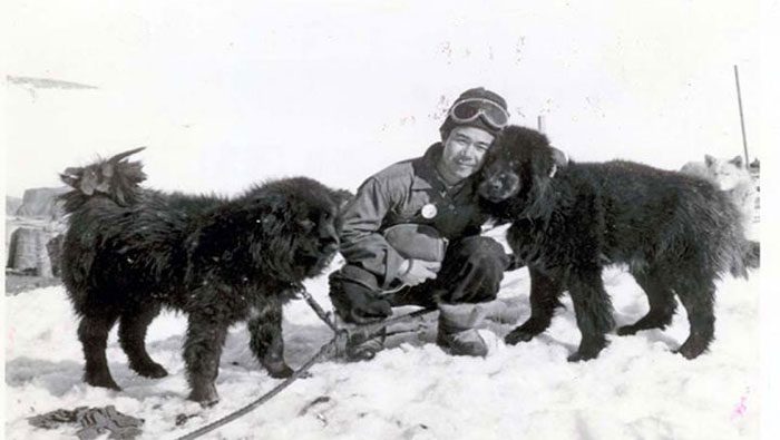 Members of the Japanese team and dogs during the Antarctic scientific expedition