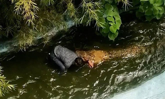 Climbing down to take a selfie with this 'model' without realizing it was a real crocodile.