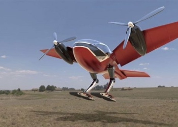 colorful bird shaped taxi flying near thang dung 117691