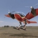 colorful bird shaped taxi flying near thang dung 117691