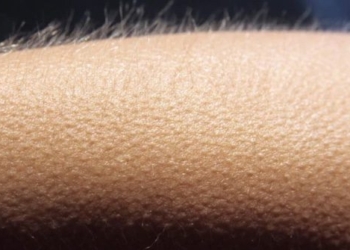comprehensive researchers list of over 700 songs that can make listeners speak up 116770