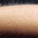 comprehensive researchers list of over 700 songs that can make listeners speak up 116770