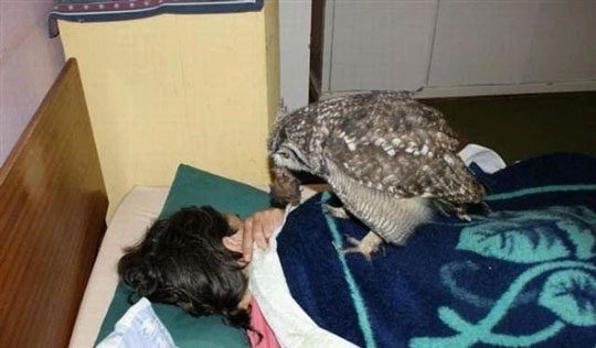 Bringing gifts right to the bed for its benefactor