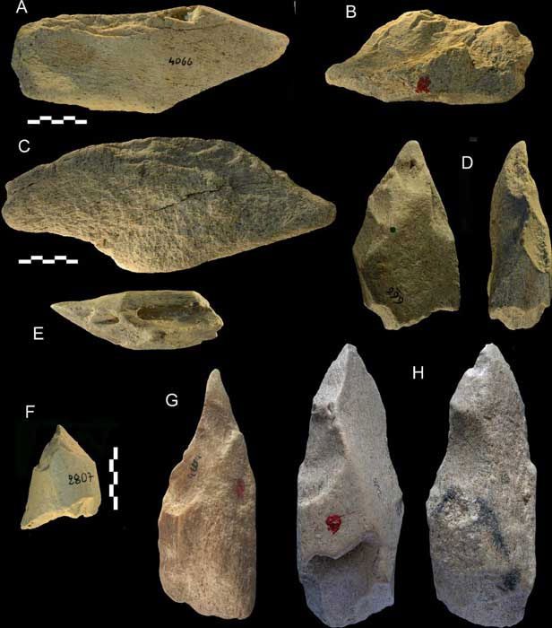 Close-up of some specimens from the "treasure of the ghostly human" 