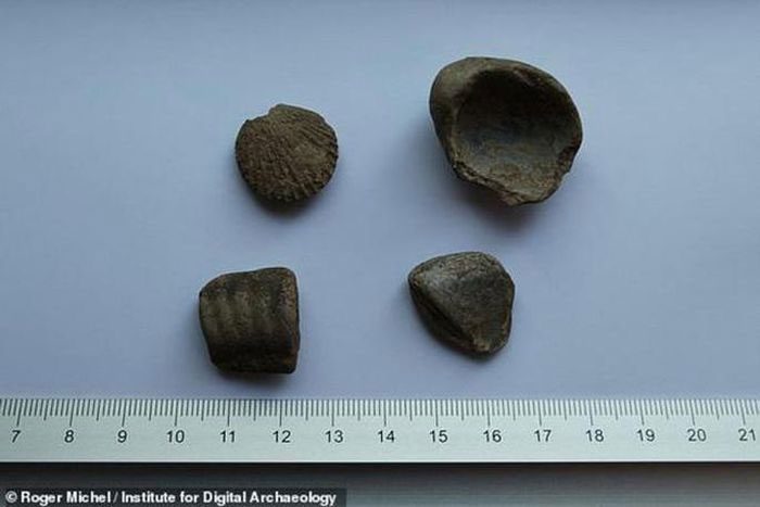 Shell fragments are jewelry belonging to another species of humanity